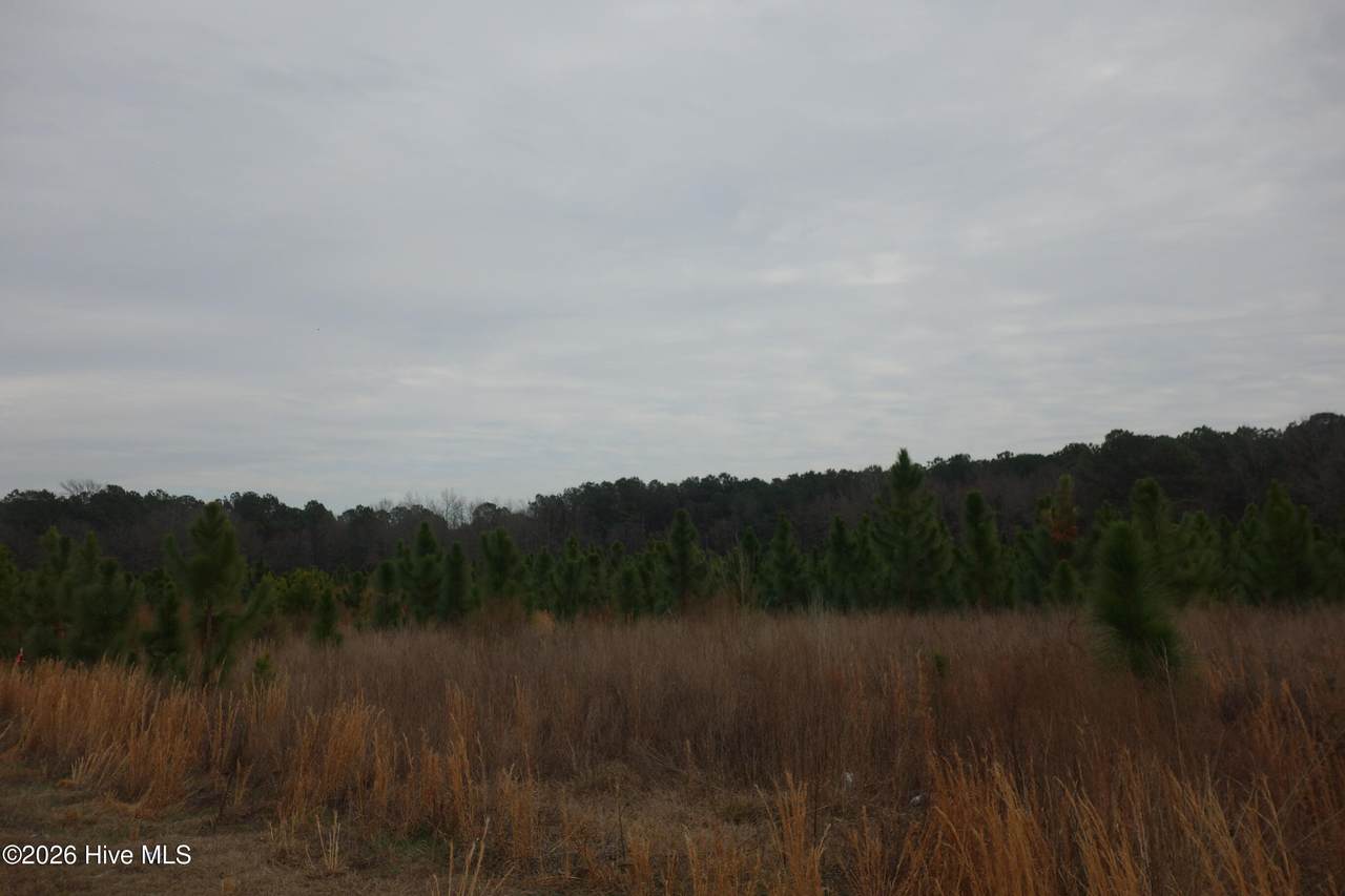 https://bt-photos.global.ssl.fastly.net/ncreg/1280_boomver_1_171f721299383c8388437d5258f2d6a1-2.jpg