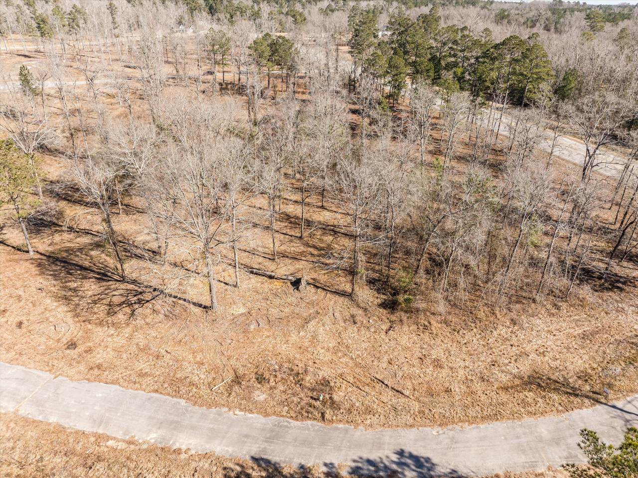 124 Gin Branch Road - Photo 1