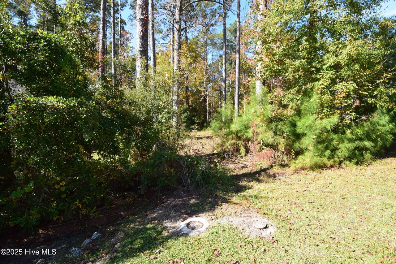 1005 Alabaster Drive - Photo 1