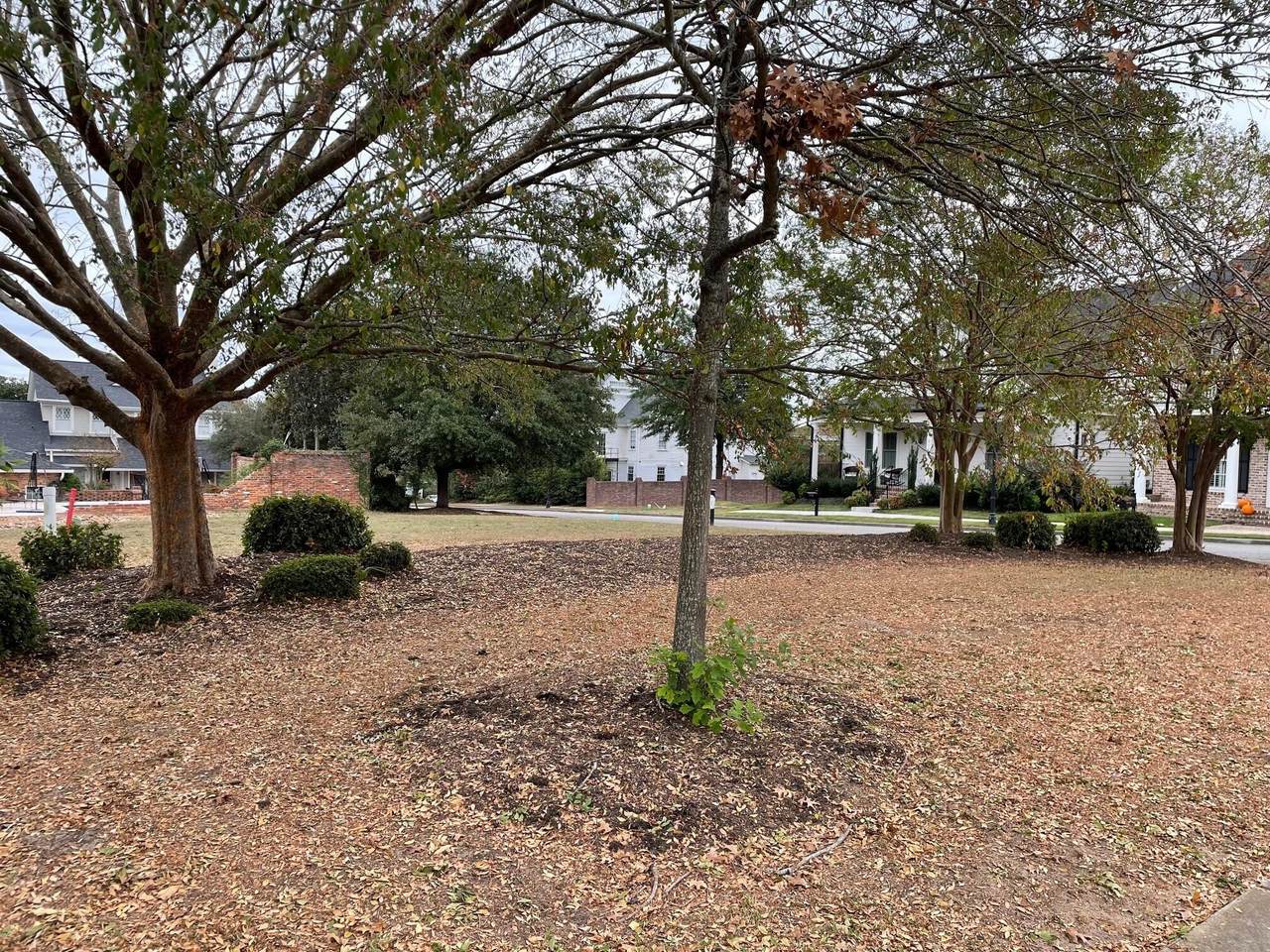 2111 Carnes Place - Photo 1