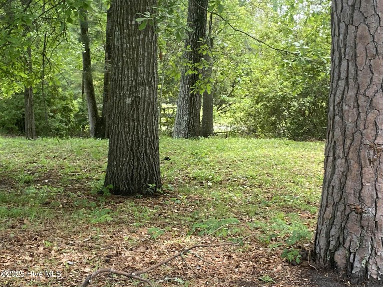 165 Hawks Pond Road - Photo 1