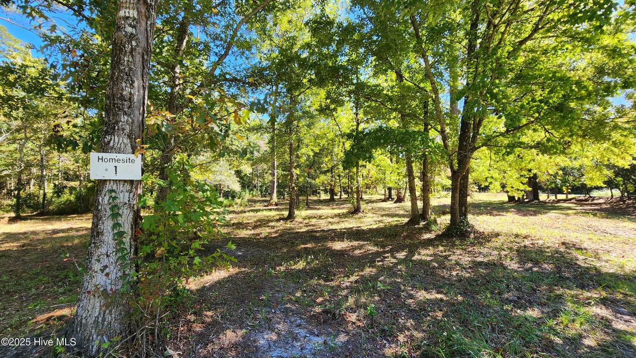 112 Sandy Point Drive - Photo 1
