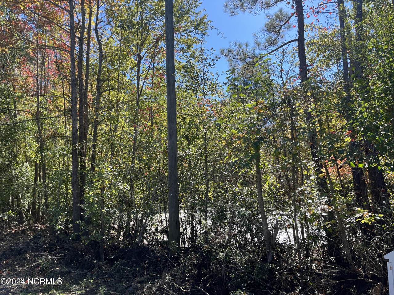 0 Canal Road - Photo 1
