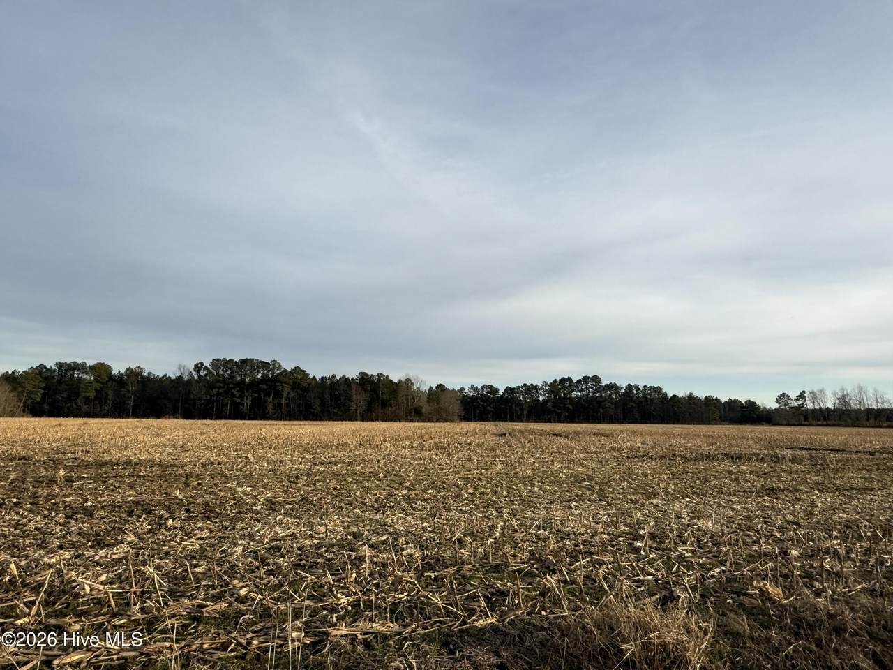 Lot 22 Beasley Road - Photo 1