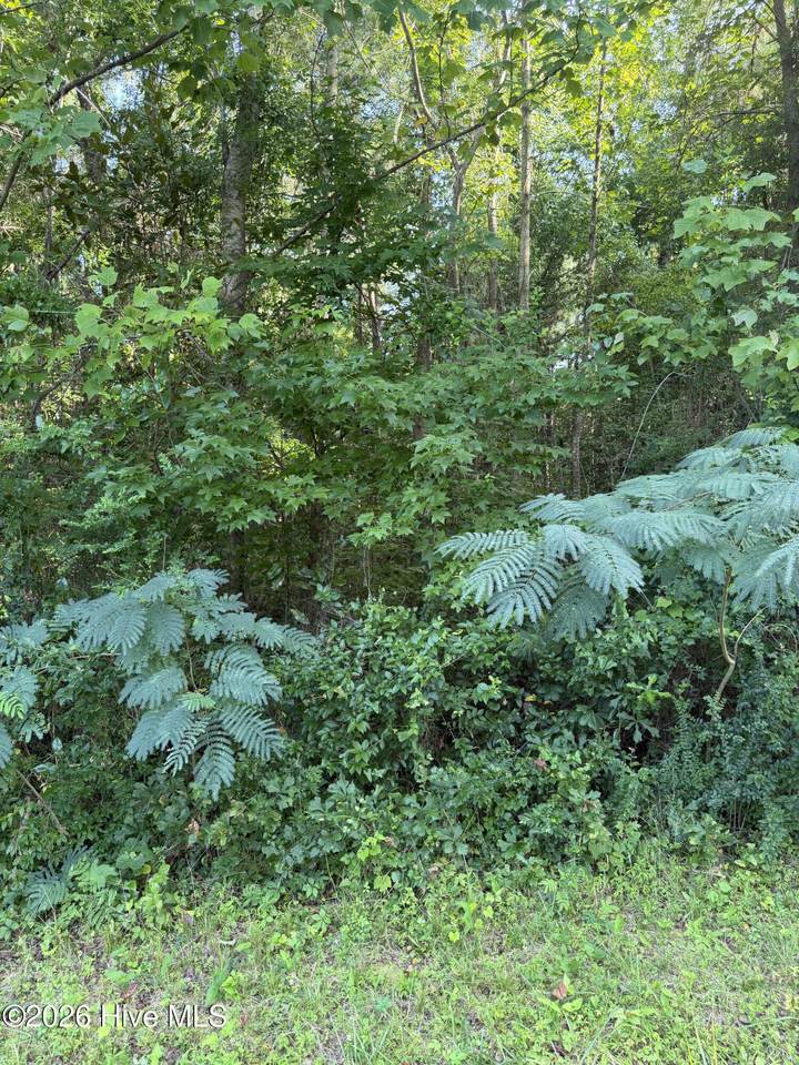 1197 Green Springs Road - Photo 1