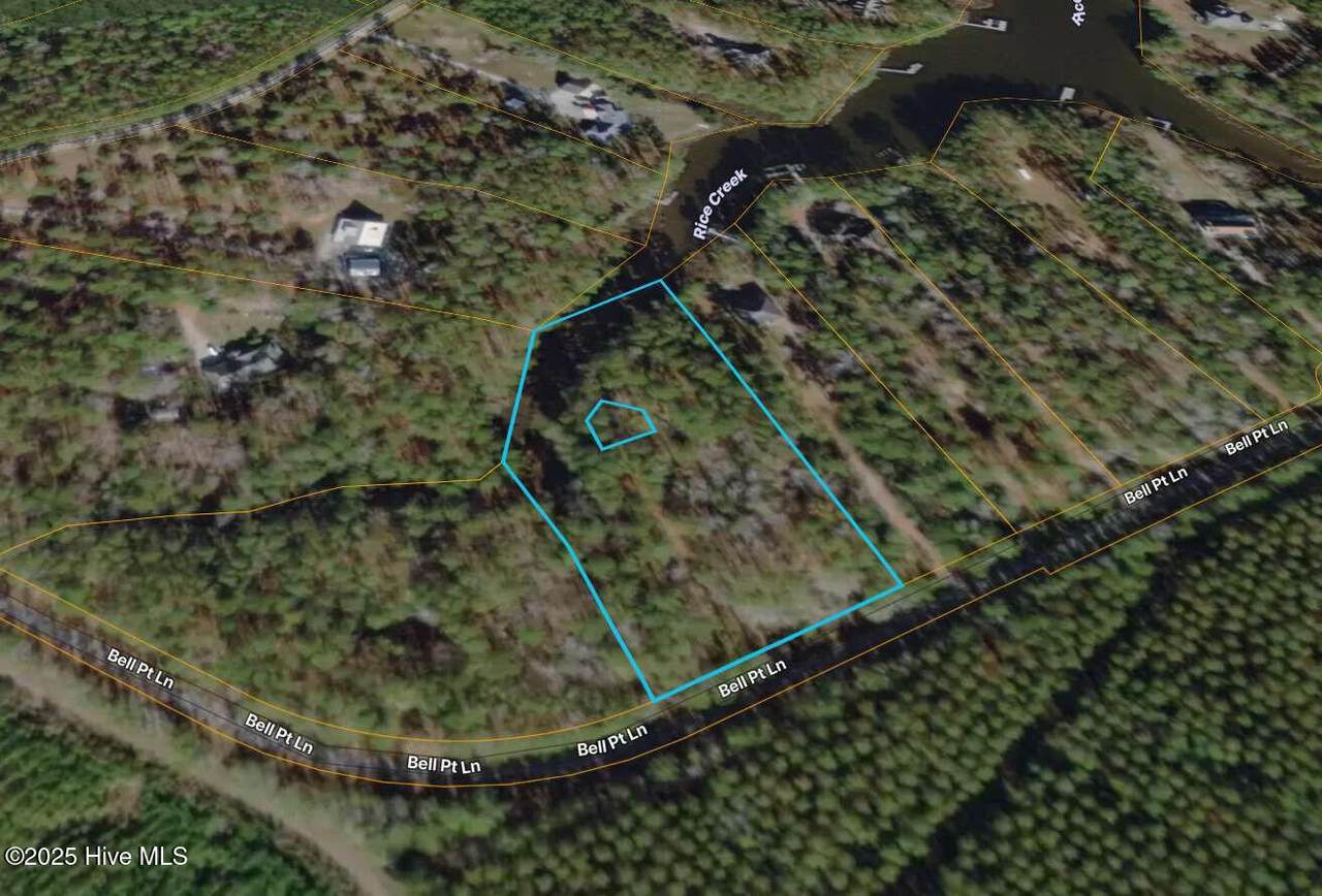 729 Bell Point Lane - Photo 1