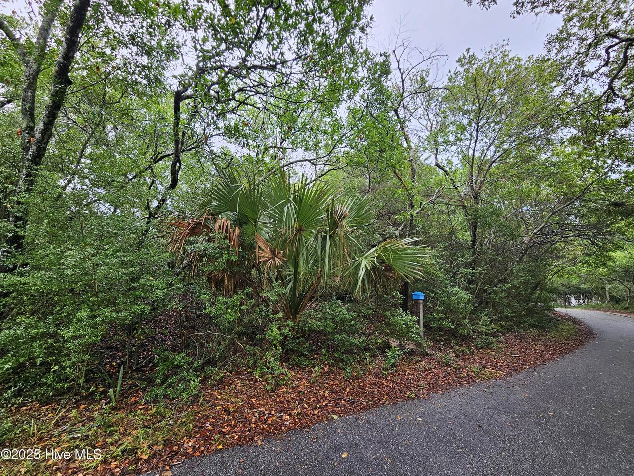 109 Kitty Hawk Way - Photo 1