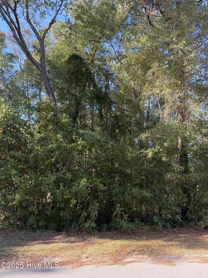 280 Sandhills Circle - Photo 1