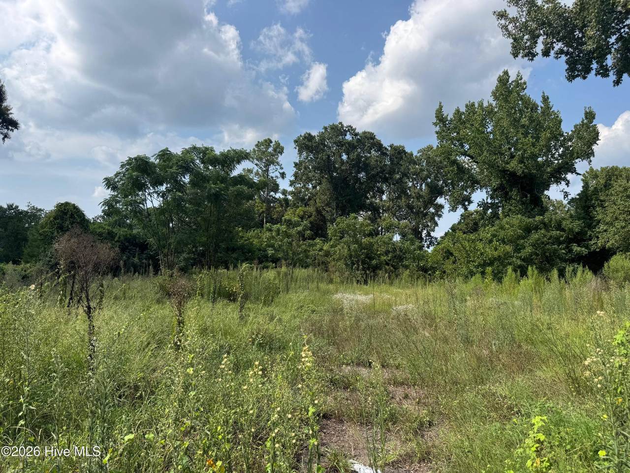 2025 Steiner Avenue - Photo 1
