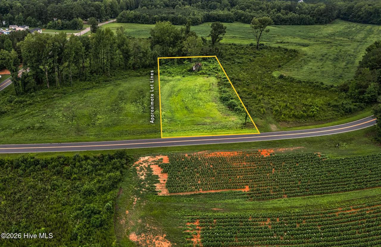 Lot 8 Murray Loop Road - Photo 1