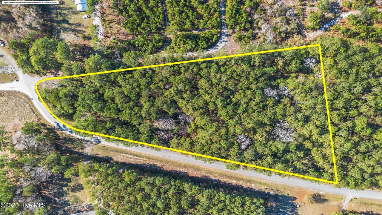 1823 Grissett Road - Photo 1