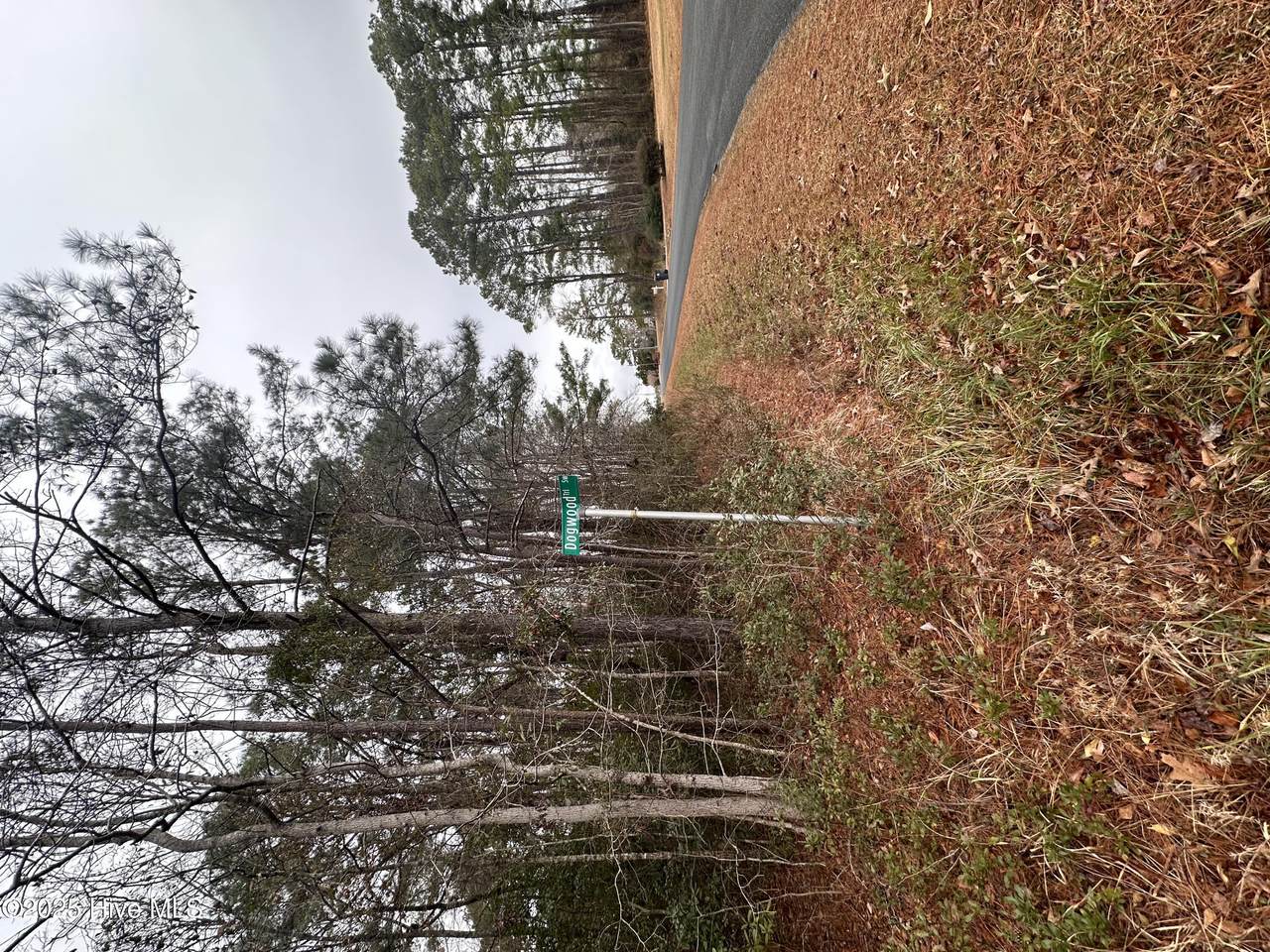 151 Dogwood Trail - Photo 1