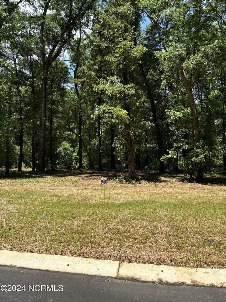 409 Old Forest Drive - Photo 1