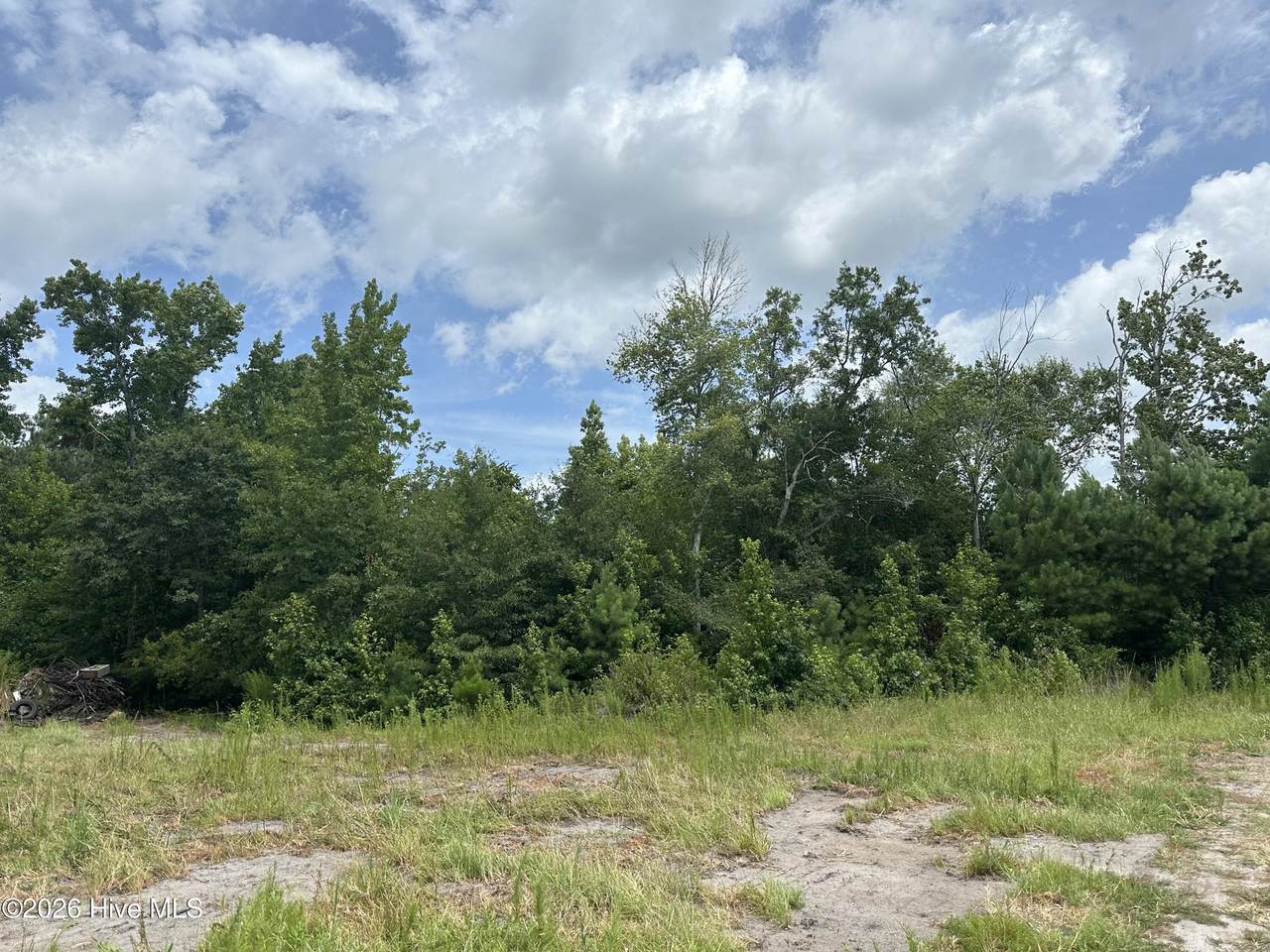 Near 99 Andrews Lake Drive - Photo 1