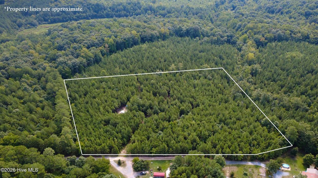 239 Lick Creek Road - Photo 1