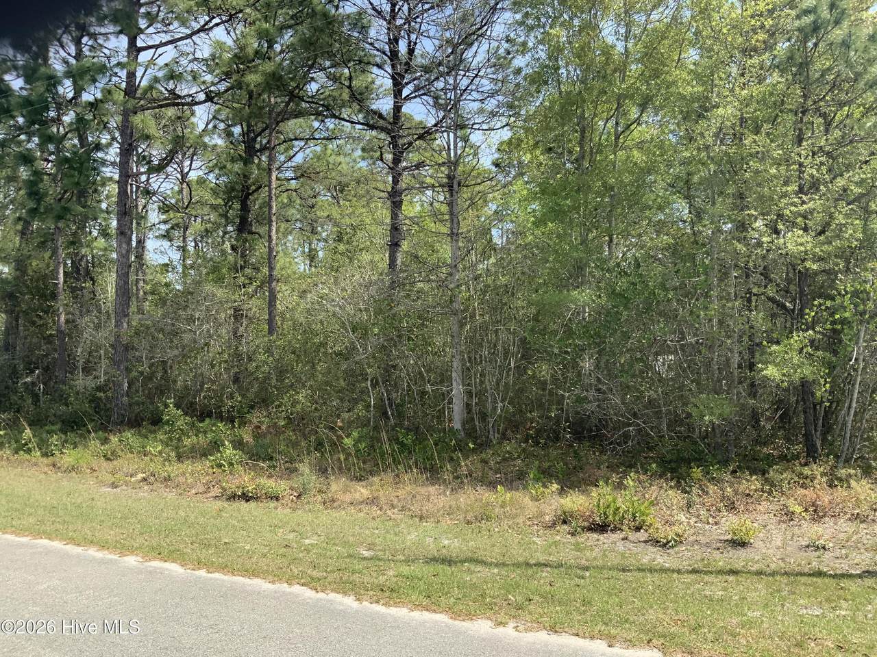 1434 Mockingbird Place - Photo 1
