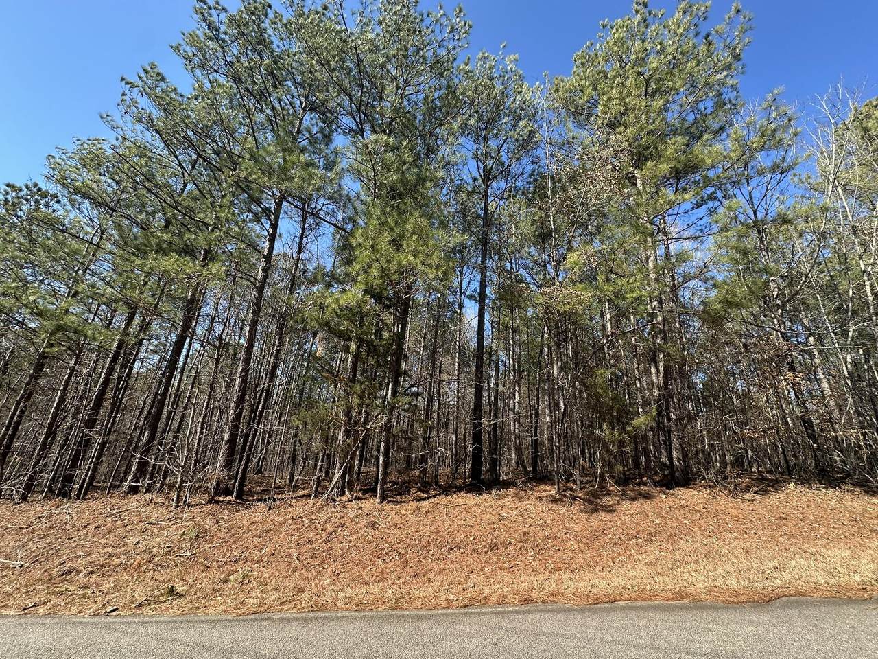 Lot 31 Willow Way - Photo 1