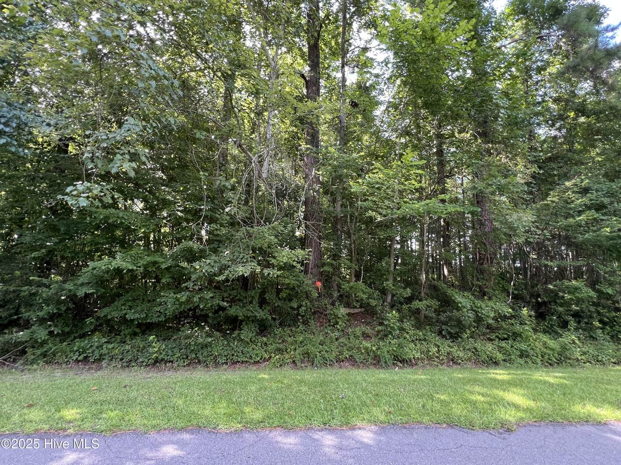 206 Colony Drive - Photo 1