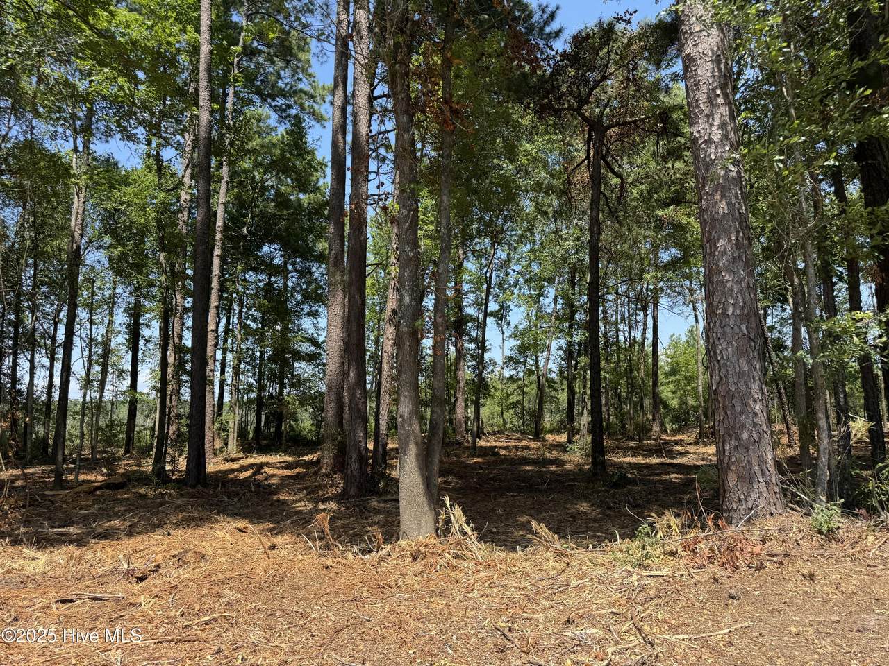 Lot 5 Near 4102 Swamp Fox (Lot 5) Highway - Photo 1