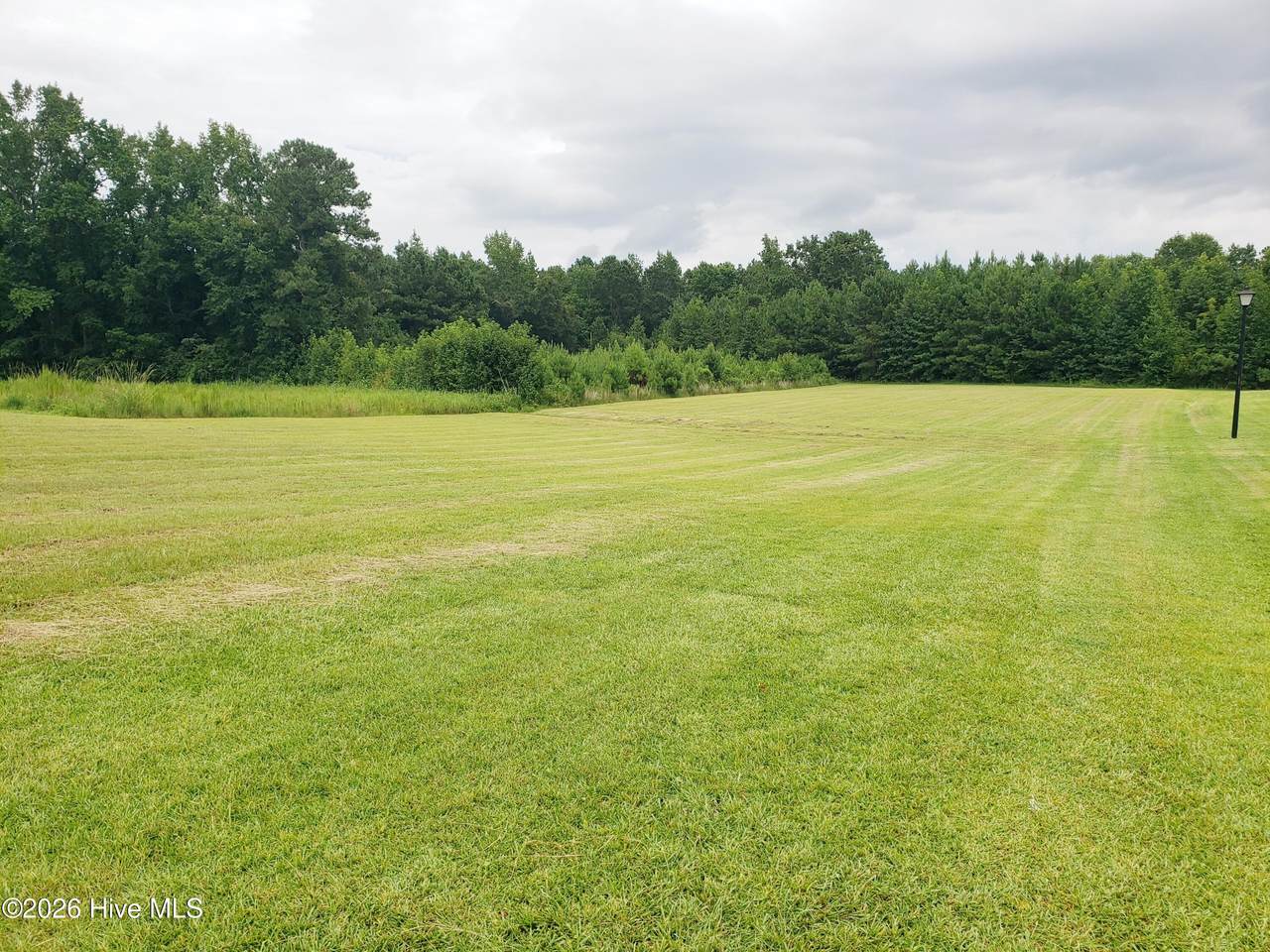 11039 Peacock Road - Photo 1