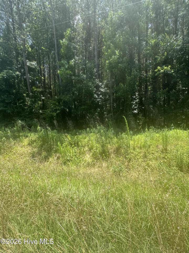 Near 721 Near 721 Joe Piver R Road - Photo 1