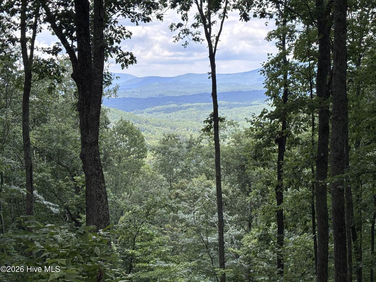 Lot 169 Wilderness Creek Way - Photo 1