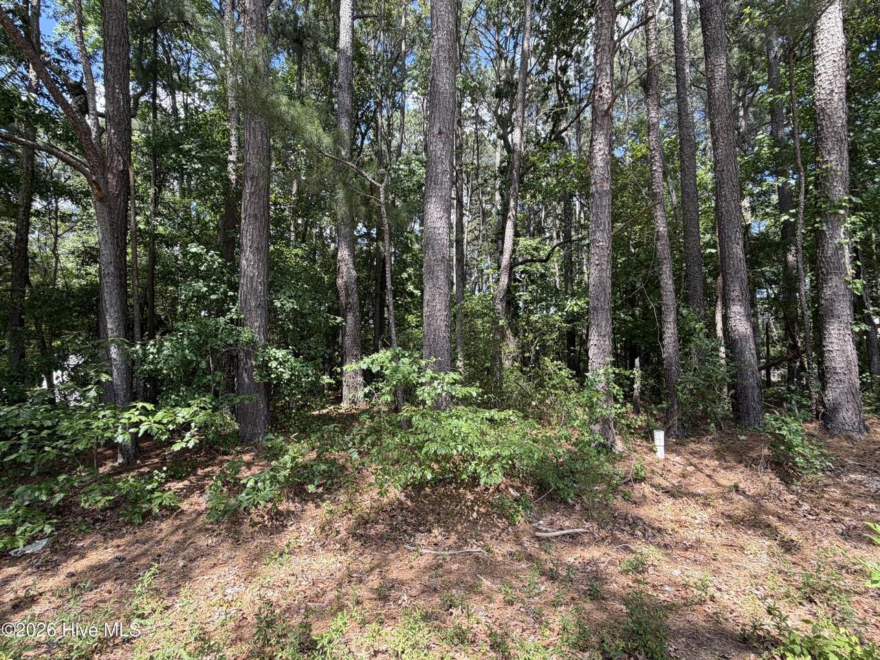 306 Daniel Drive - Photo 1