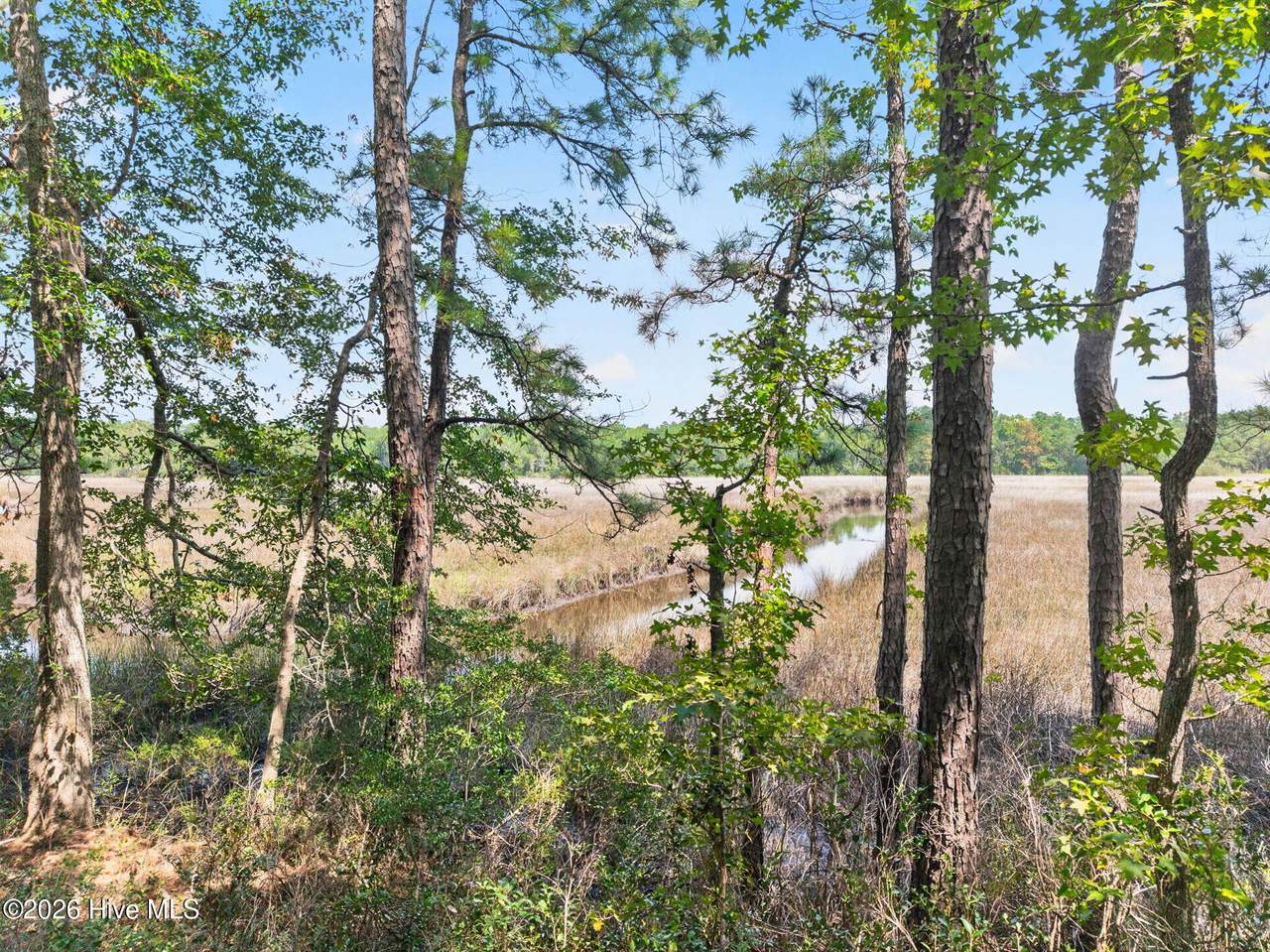 3075 Valderama Way - Photo 1