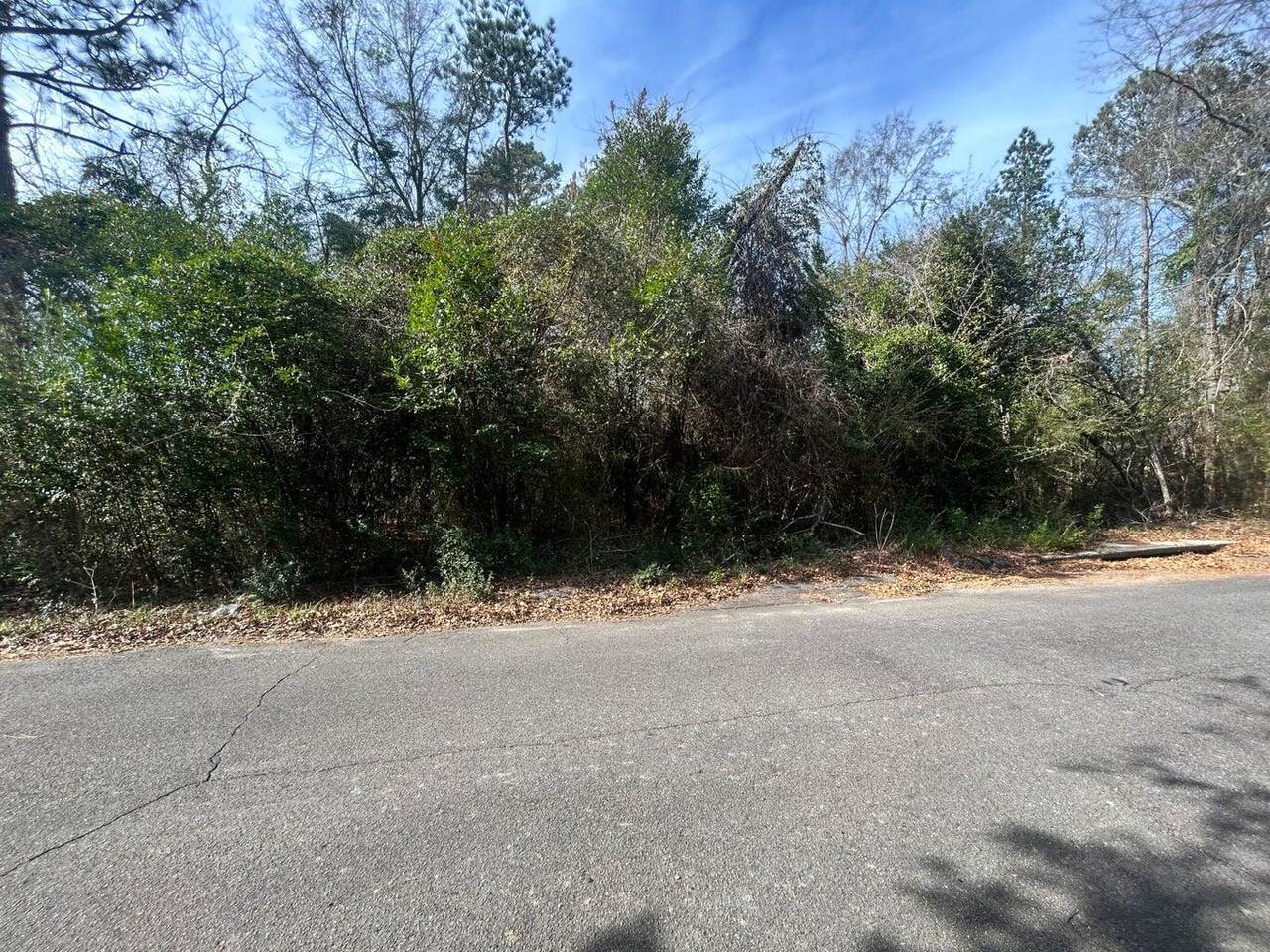 0 Robinson Drive - Photo 1