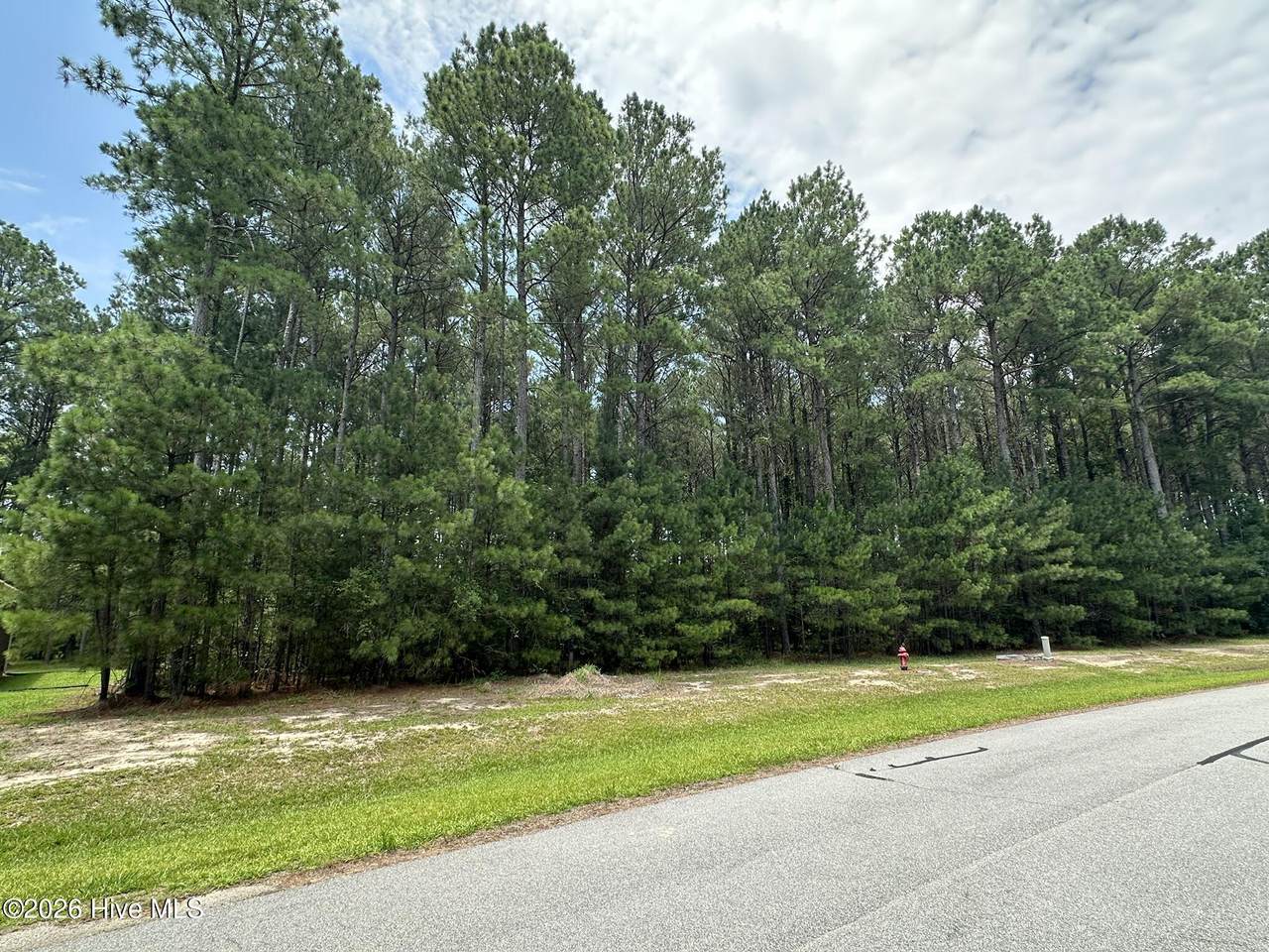 437 Riversound Drive - Photo 1