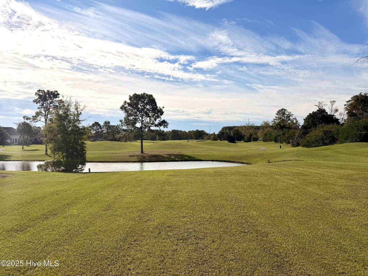 7065 Bloomsbury Court - Photo 1