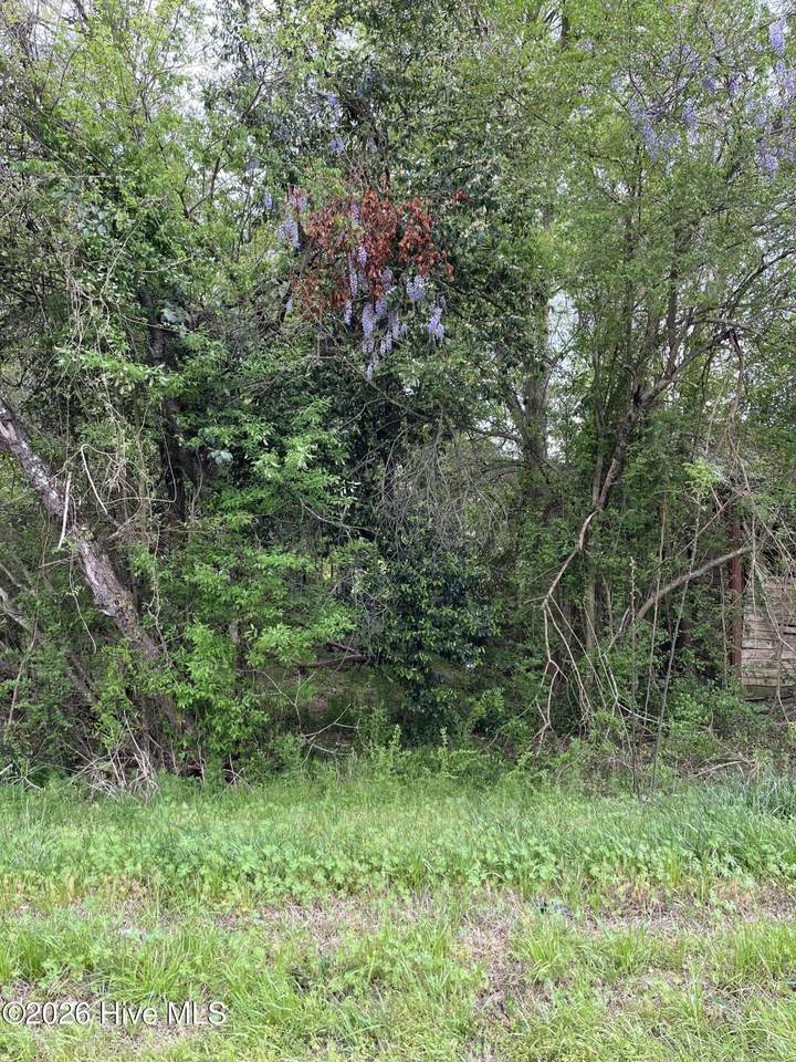 10860 Gibson Road - Photo 1