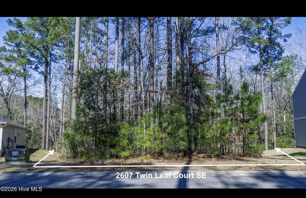 2607 Twin Leaf Court - Photo 1