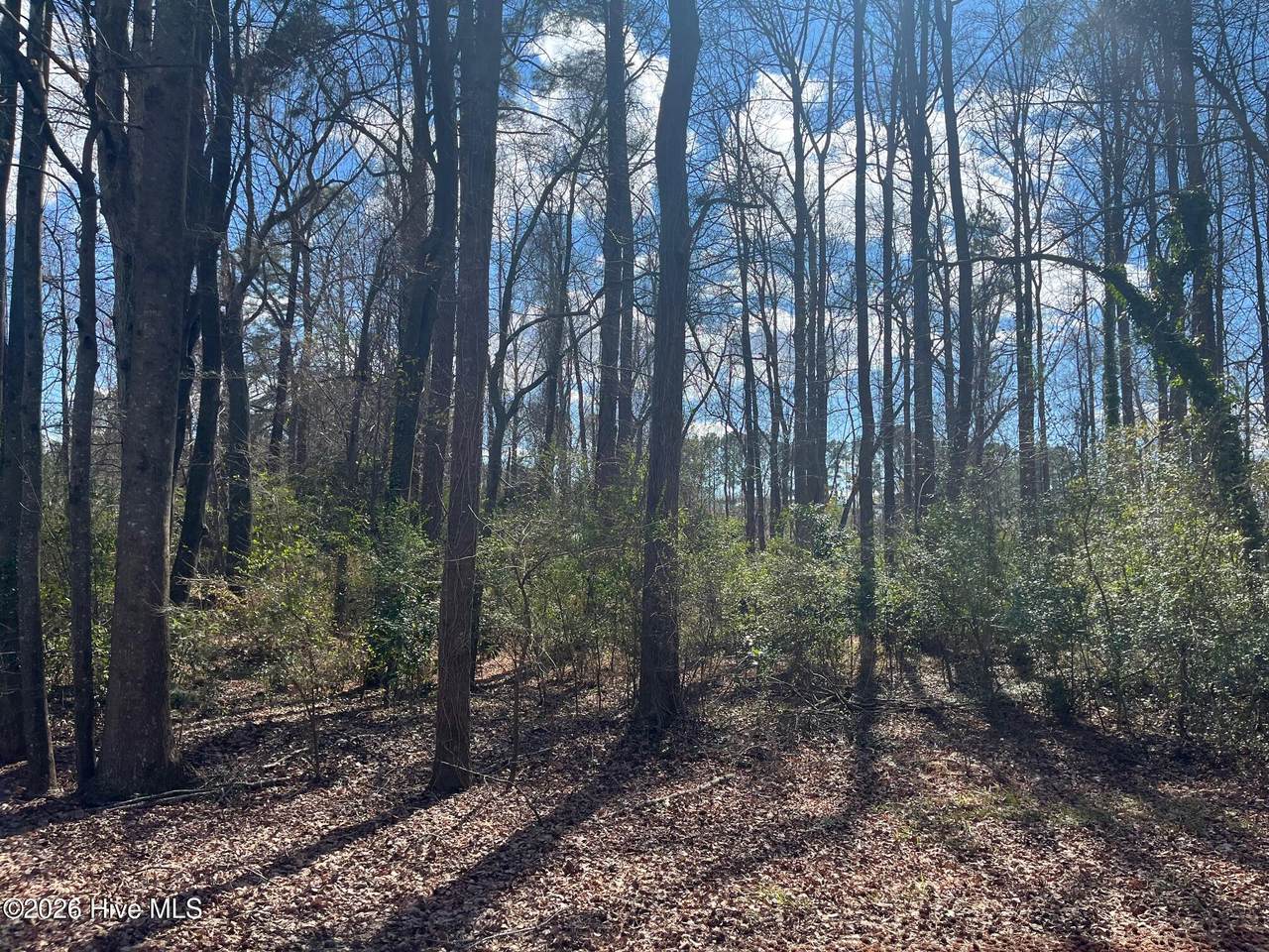 11 Brookwood Road - Photo 1