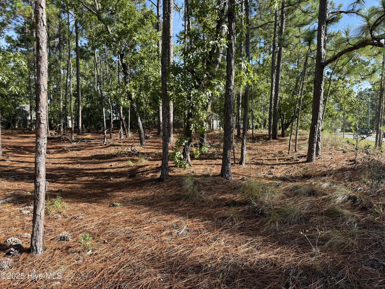 585 Westwood Road - Photo 1