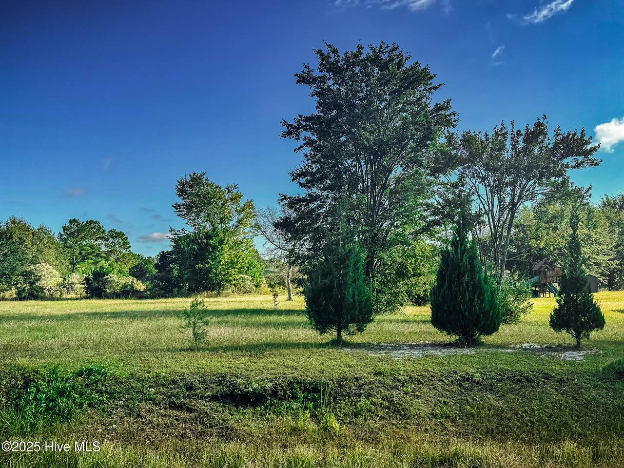 3975 Sourwood Court - Photo 1