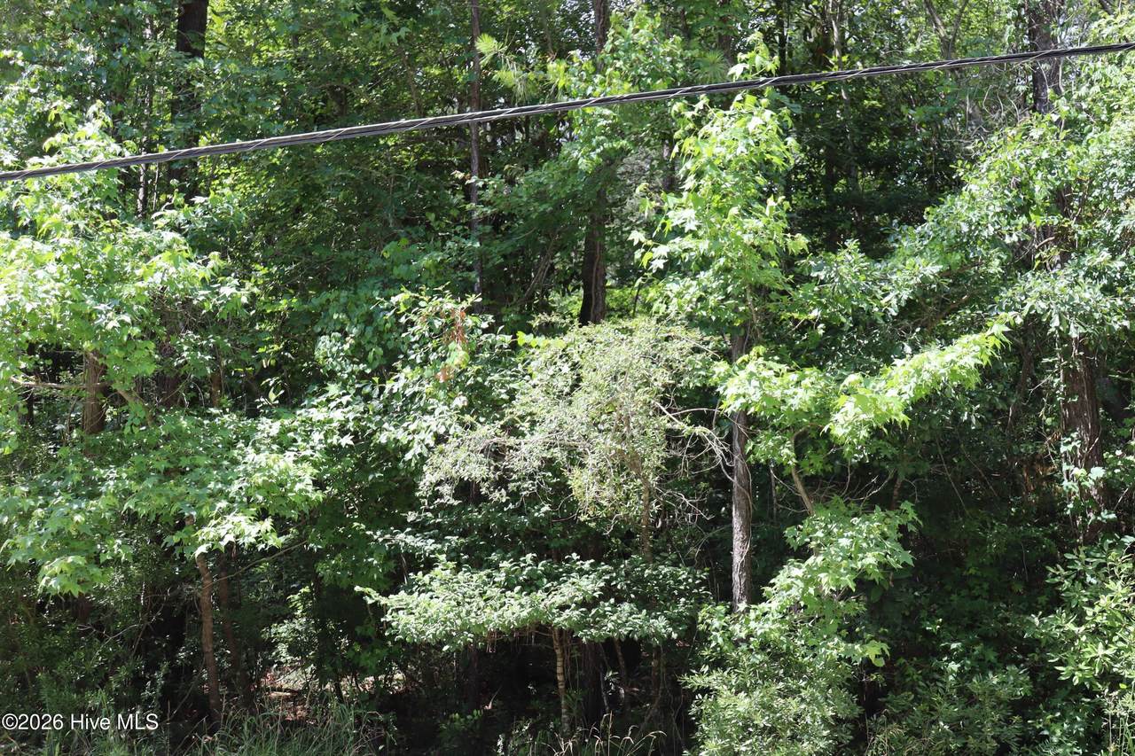 234 Creekwood Road - Photo 1