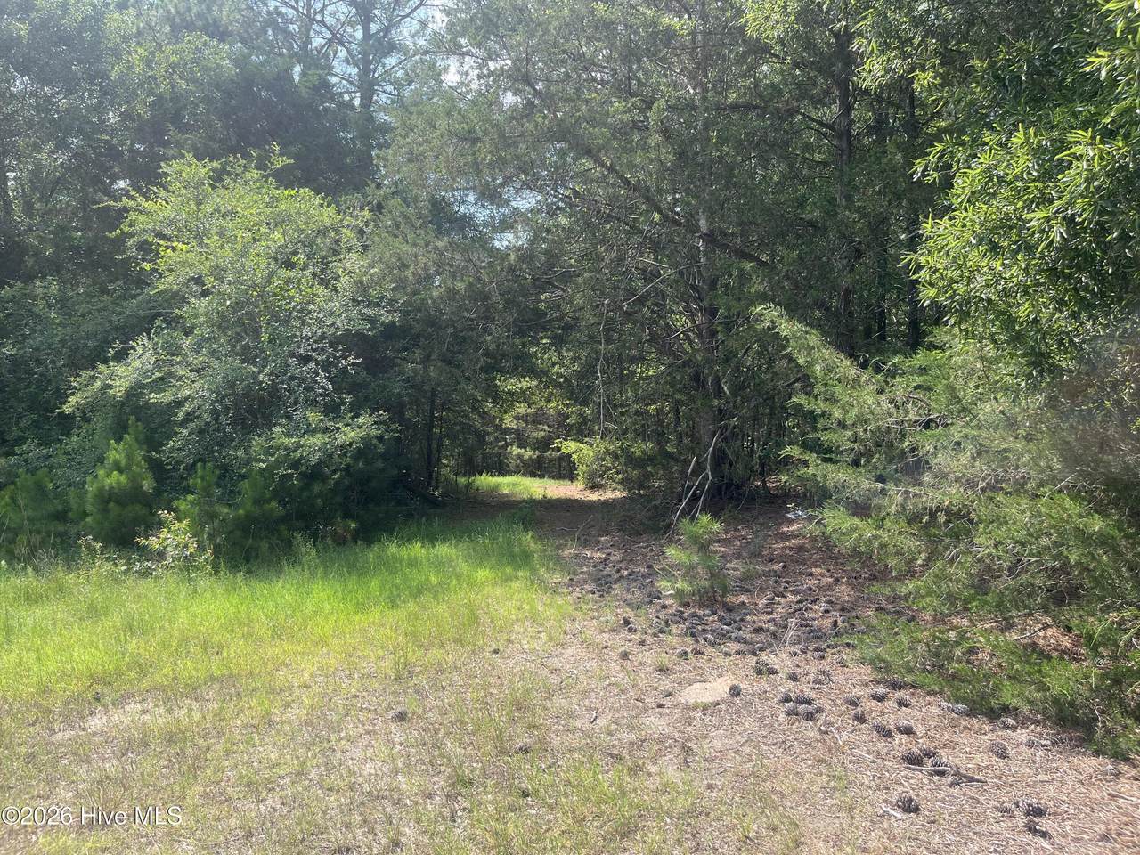 16.9 Ac Rowland-York Drive - Photo 1