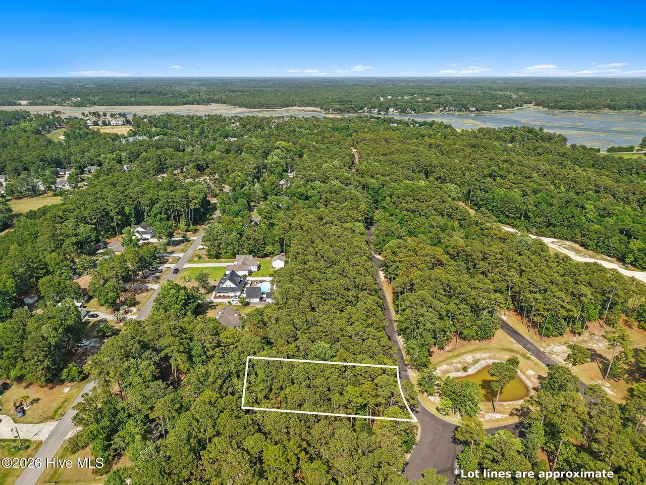 3740 Pine Brook Trail - Photo 1