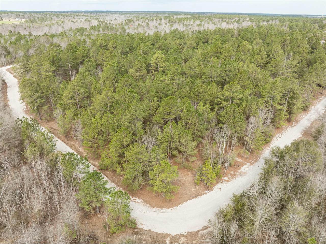 2687 Big Dog Trail - Photo 1