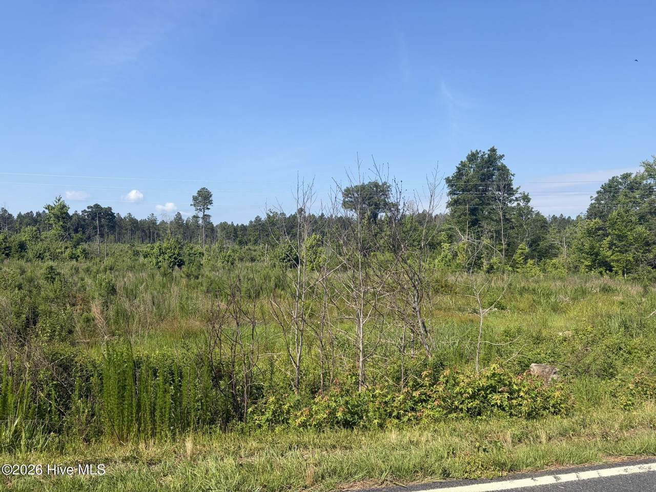 Tbd Everett Chappell Road - Photo 1