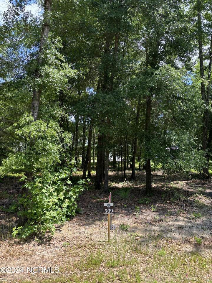 3718 Barnesmore Drive - Photo 1