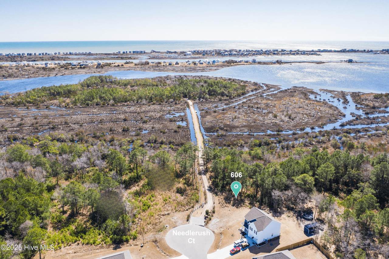 606 Needlerush Court - Photo 1