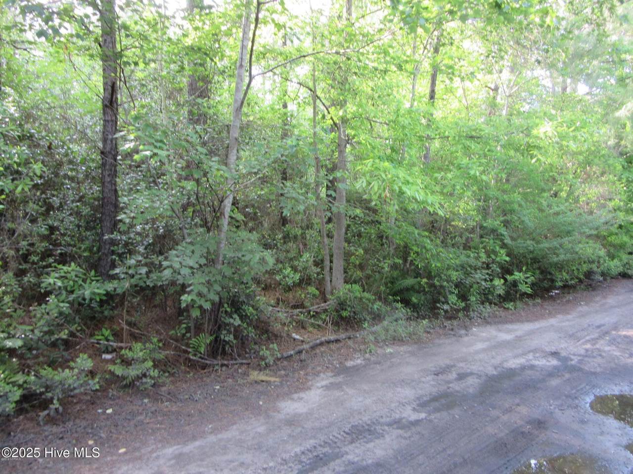 1253 Crooked Pine Road - Photo 1