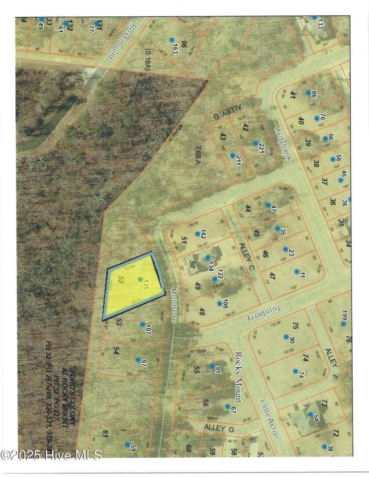 135 Montrose - Photo 1