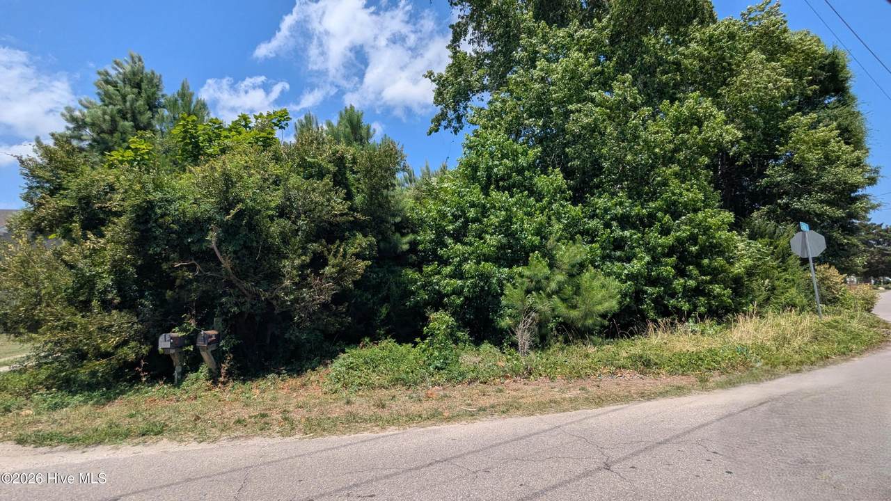 600 Harper Avenue - Photo 1
