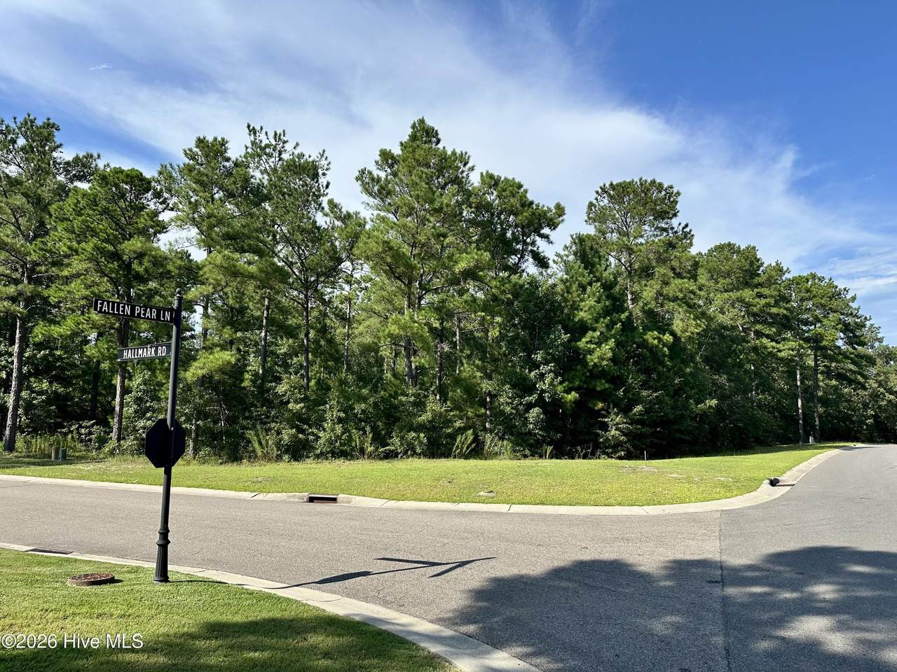 3775 Hallmark Road - Photo 1
