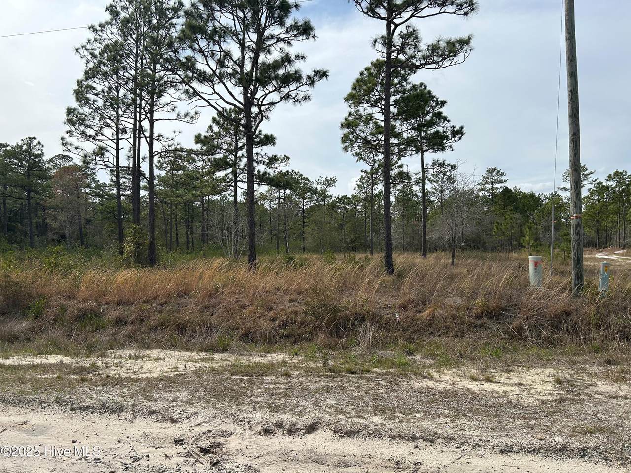 0 Virginia Drive - Photo 1