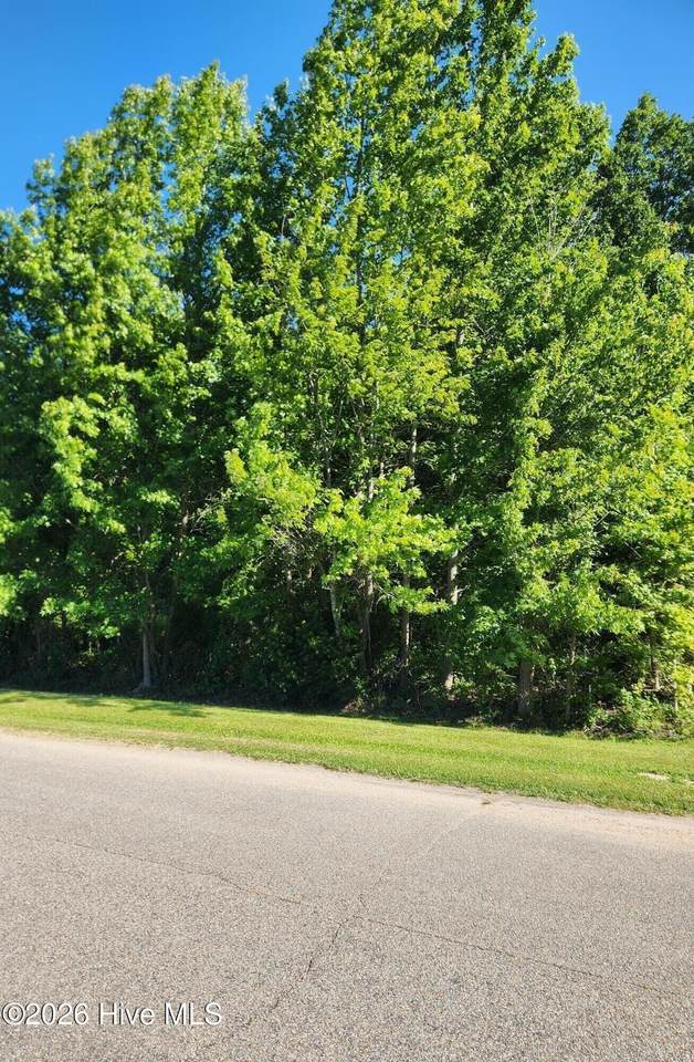 32 Treasure Point Road - Photo 1