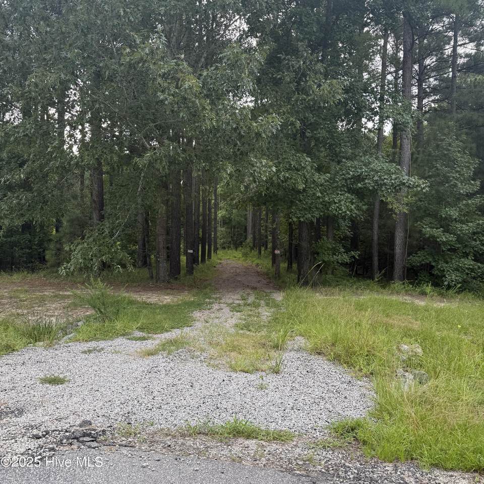 704 Batts Island Road - Photo 1